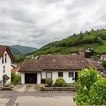 Haus Michler Apartment Todtnau