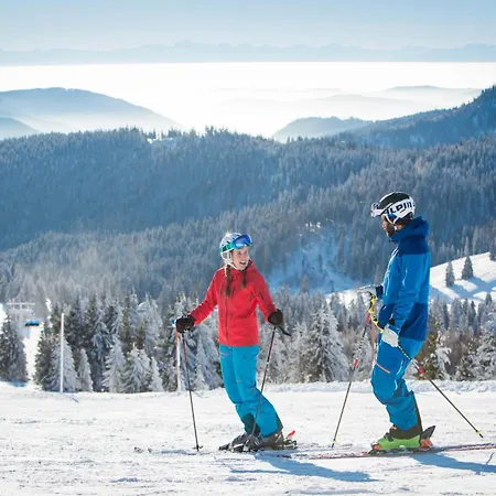 Apartmán Haus Michler Todtnau