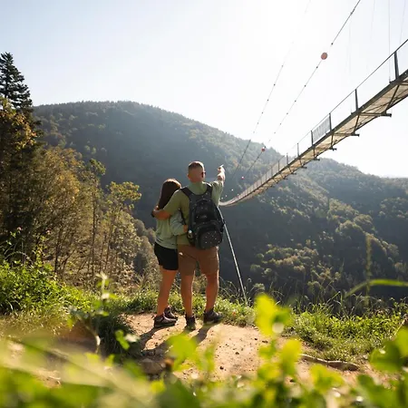 Haus Michler Todtnau