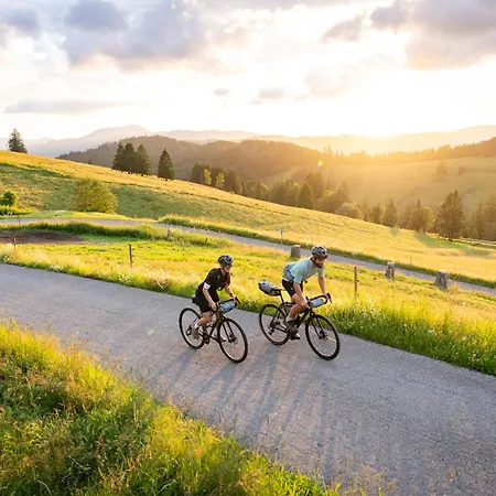 Haus Michler Apartamento Todtnau