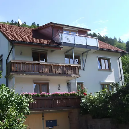 Apartamento Haus Michler Todtnau