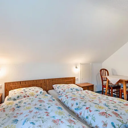 Haus Michler Apartamento Todtnau