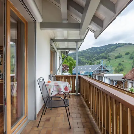 Haus Michler شقة تودتناو