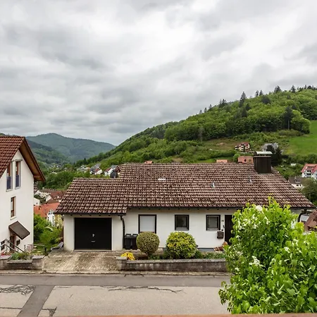 Haus Michler شقة تودتناو